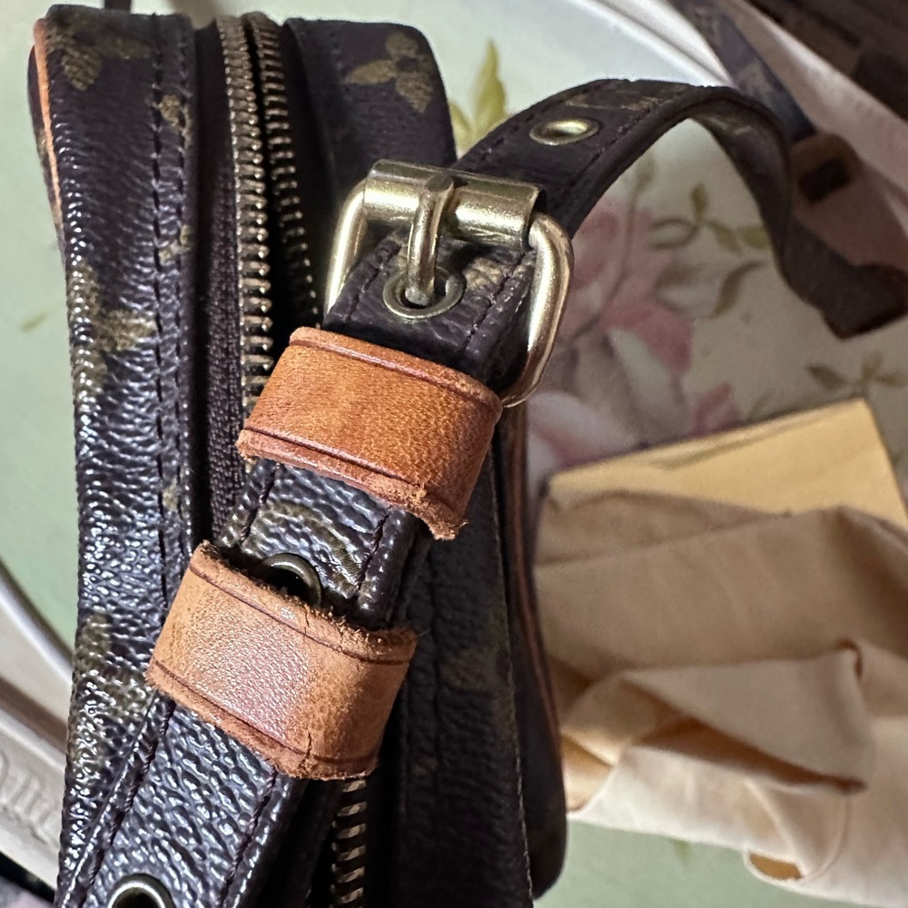 Louis Vuitton Monogram Amazone‎ Crossbody Bag - Picture 14 of 15